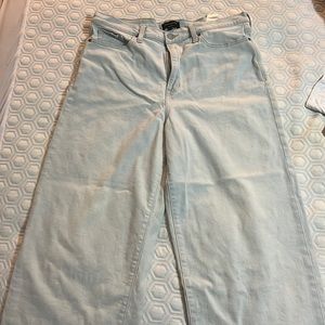Banana Republic Wide Leg Crop Jean